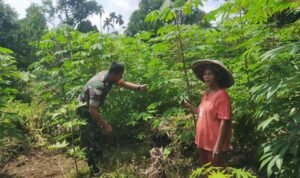 WhatsApp Image 2025-10-22 at 10.49.43