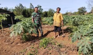 WhatsApp Image 2025-10-22 at 10.52.57