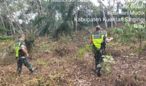 WhatsApp Image 2025-10-23 at 09.49.25