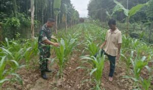 WhatsApp Image 2025-10-23 at 09.50.31