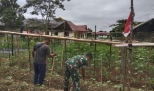 WhatsApp Image 2025-10-23 at 10.43.41