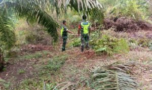 WhatsApp Image 2025-10-23 at 10.44.18