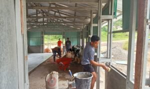 WhatsApp Image 2025-10-23 at 12.29.49