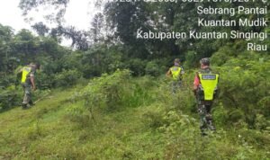 WhatsApp Image 2025-10-29 at 10.21.31