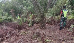 WhatsApp Image 2025-10-29 at 10.23.00