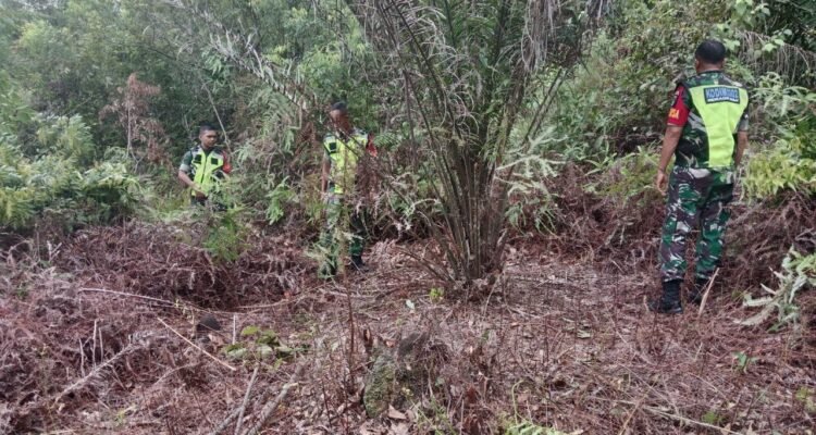 WhatsApp Image 2025-10-29 at 10.23.00