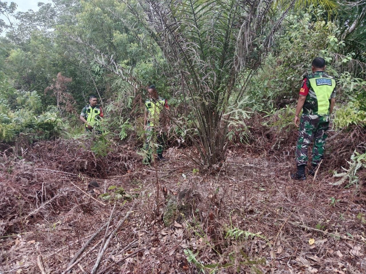 WhatsApp Image 2025-10-29 at 10.23.00