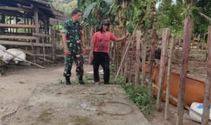 WhatsApp Image 2025-10-29 at 10.23.14