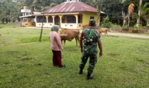 WhatsApp Image 2025-10-30 at 08.53.50