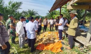 WhatsApp Image 2025-10-30 at 08.55.36