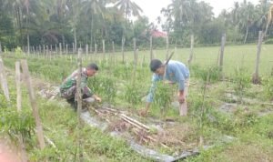 WhatsApp Image 2025-10-30 at 09.35.55