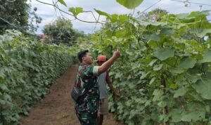 WhatsApp Image 2025-10-31 at 11.30.04