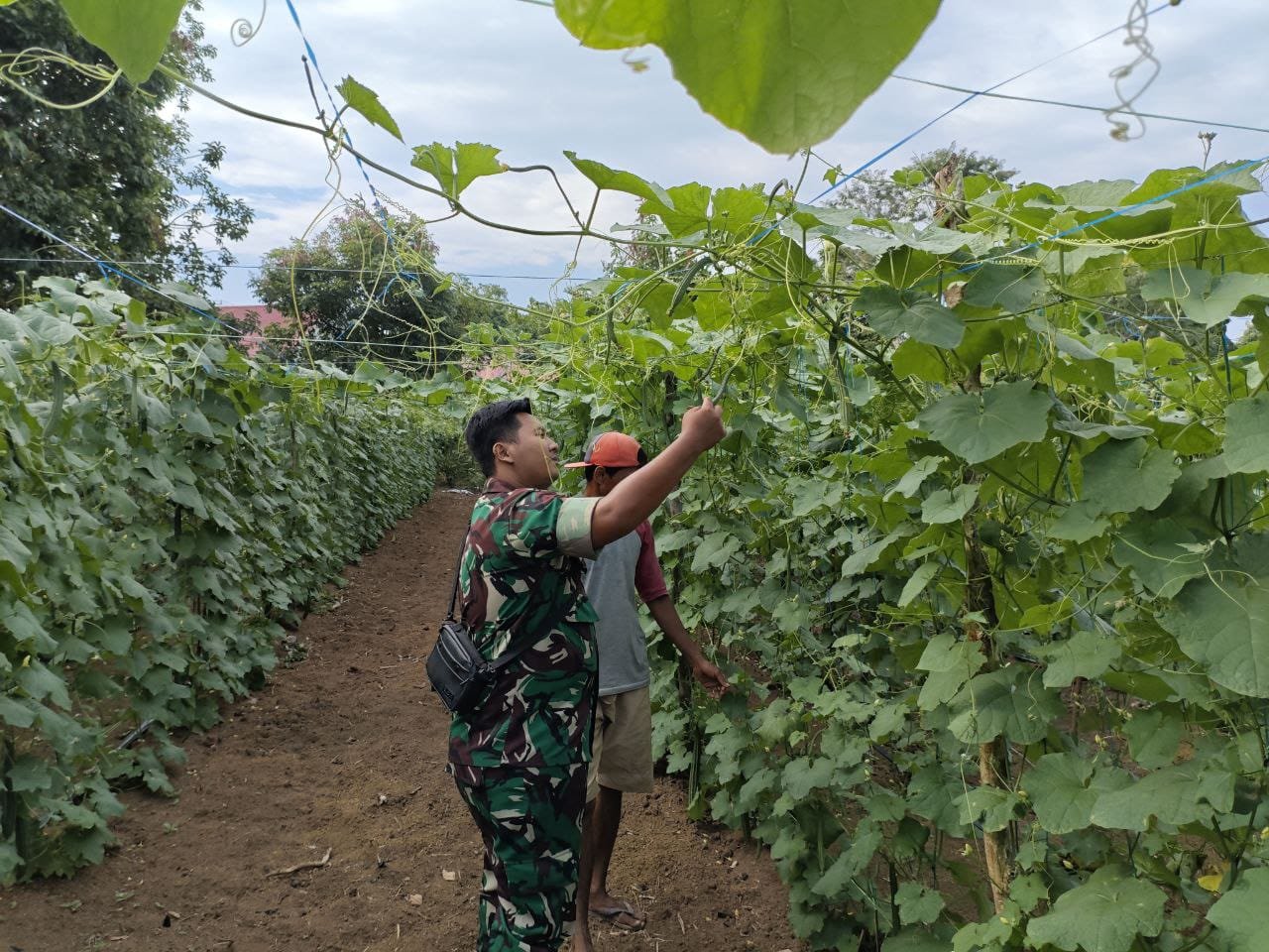 WhatsApp Image 2025-10-31 at 11.30.04