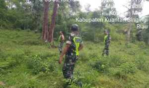 WhatsApp Image 2025-11-05 at 09.54.53