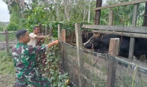 WhatsApp Image 2025-11-05 at 09.55.27