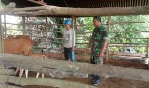 WhatsApp Image 2025-11-05 at 10.08.18