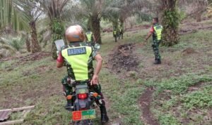 WhatsApp Image 2025-11-05 at 10.08.54