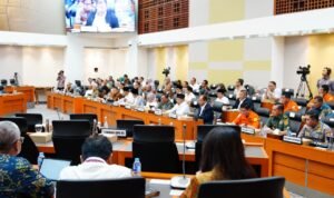 WhatsApp Image 2025-11-05 at 20.44.41