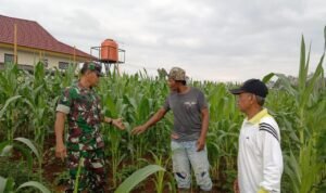 WhatsApp Image 2025-11-06 at 11.02.42