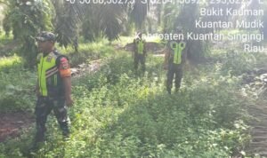 WhatsApp Image 2025-11-07 at 09.50.56