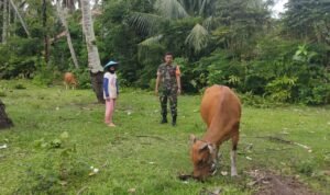 WhatsApp Image 2025-11-07 at 09.51.28