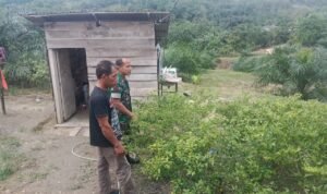 WhatsApp Image 2025-11-07 at 10.32.10