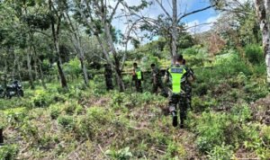 WhatsApp Image 2025-11-07 at 10.32.36