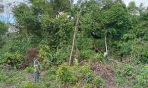 WhatsApp Image 2025-11-09 at 11.23.18