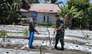 WhatsApp Image 2025-11-09 at 11.23.31