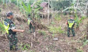 WhatsApp Image 2025-11-10 at 10.10.30