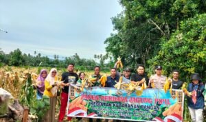 WhatsApp Image 2025-11-10 at 10.10.58