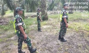 WhatsApp Image 2025-11-13 at 10.09.19