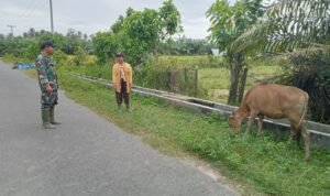 WhatsApp Image 2025-11-13 at 10.09.46