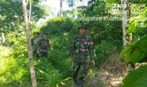 WhatsApp Image 2025-11-16 at 10.30.51