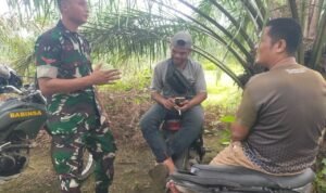 WhatsApp Image 2025-11-16 at 10.31.23