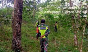 WhatsApp Image 2025-11-18 at 09.37.12