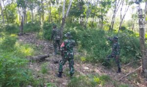 WhatsApp Image 2025-11-23 at 10.02.48