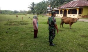 WhatsApp Image 2025-11-23 at 10.50.59