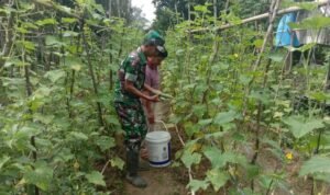 WhatsApp Image 2025-12-02 at 09.50.13