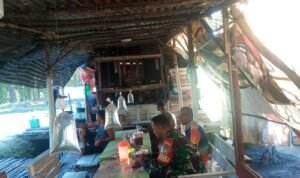 WhatsApp Image 2025-12-02 at 10.38.04