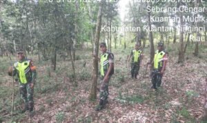 WhatsApp Image 2025-12-07 at 09.51.02