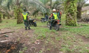 WhatsApp Image 2025-12-07 at 11.27.49