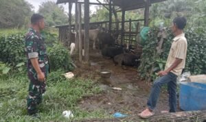 WhatsApp Image 2025-12-08 at 09.55.34