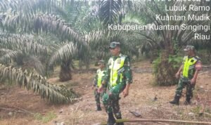 WhatsApp Image 2025-12-08 at 09.55.50