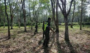 WhatsApp Image 2025-12-08 at 11.25.36