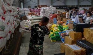 WhatsApp Image 2025-12-08 at 12.36.31 (1)