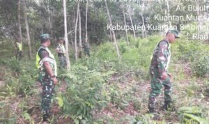 WhatsApp Image 2025-12-09 at 10.18.42