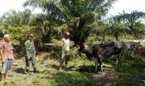 WhatsApp Image 2025-12-09 at 10.19.08