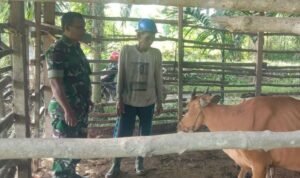 WhatsApp Image 2025-12-09 at 10.55.10