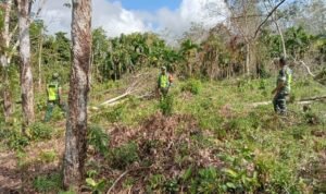 WhatsApp Image 2025-12-10 at 10.39.03